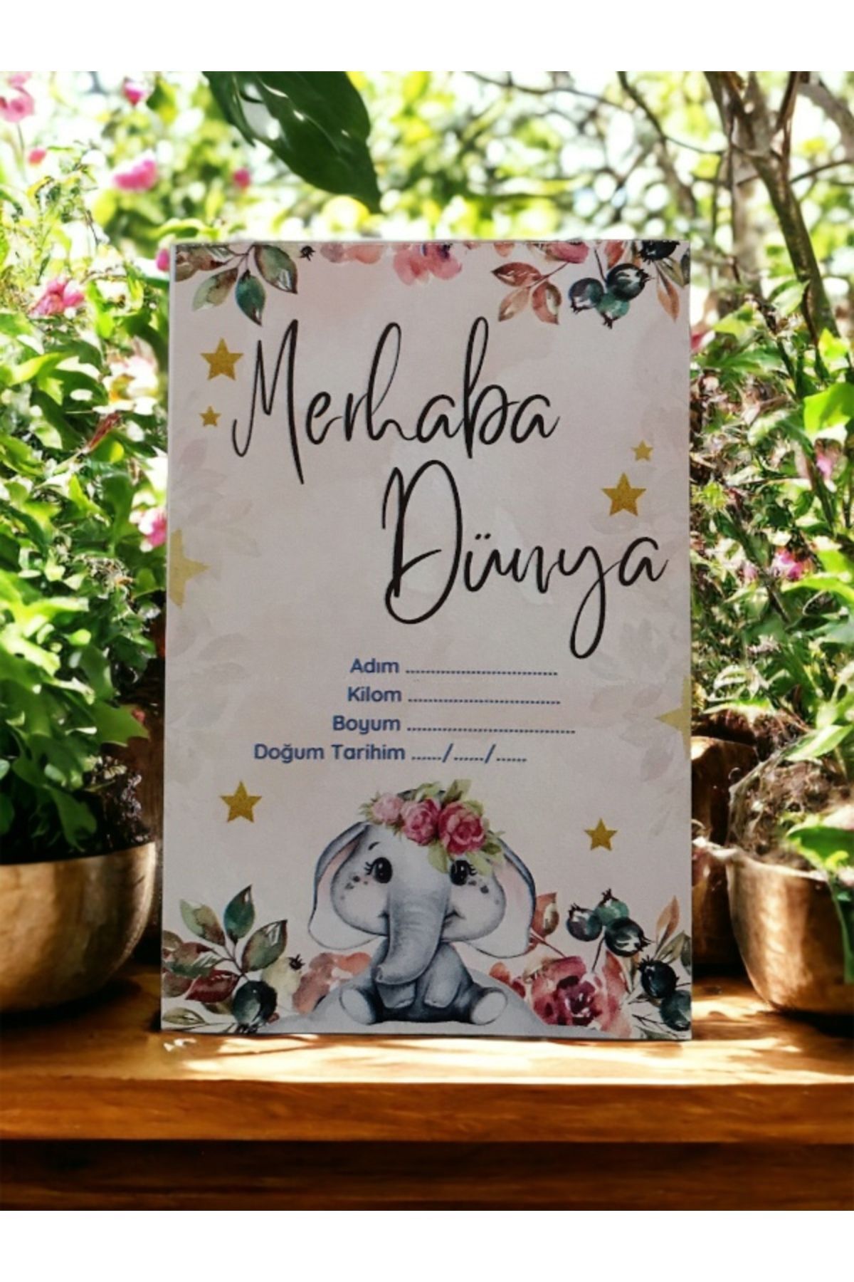 Merhaba Dünya Müjde Anı Kartı - Hamile Anı Kartı